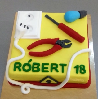 Torta Elektrikár