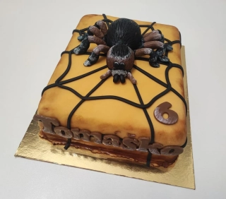 Torta Pavúk