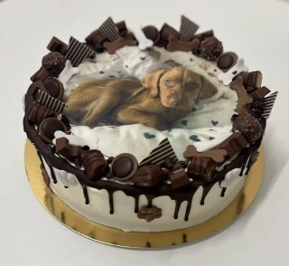 Torta Pes